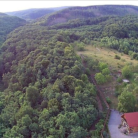 Творча Садиба Svalyava Exterior photo